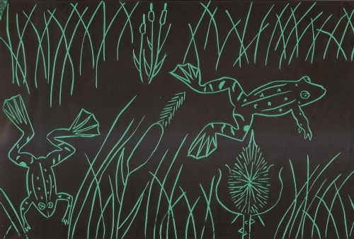 Theo da Costa (10) Marsh Frogs