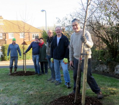 Lewes Nevill tree planting
