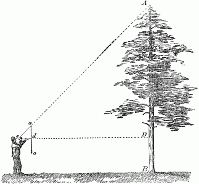 itree-section_graphic