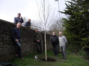 Friends of Lewes tree planters