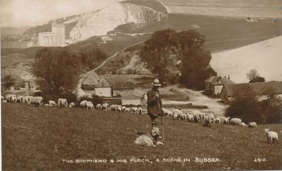 Shepherd and flock Sussex postcard