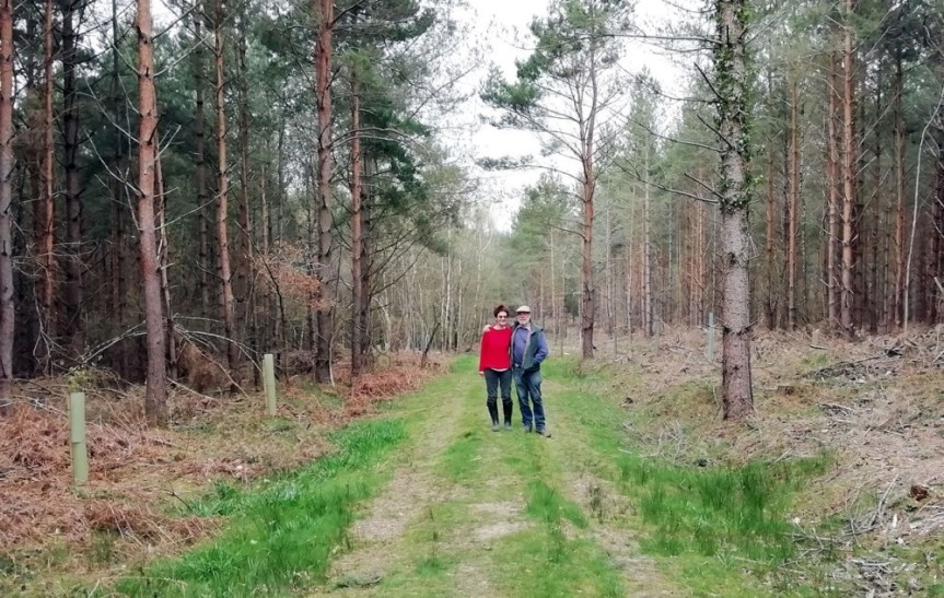 Friends of Lewes plant elm grove at Vert Woods