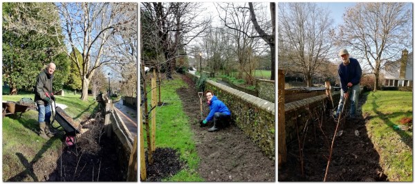 Hedge planting at Lewes Cemetery