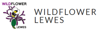 Wildflower Lewes