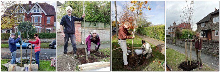 Tree planting in the Wallands, Lewes, November 2021