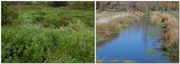 Cockshut ditch near source (left), Cockshut in Winter (right)