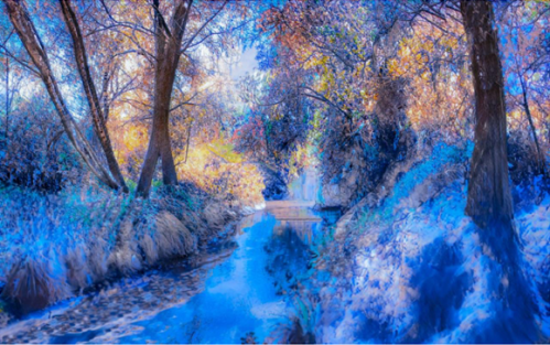 Snow on the Railwayland in Lewes