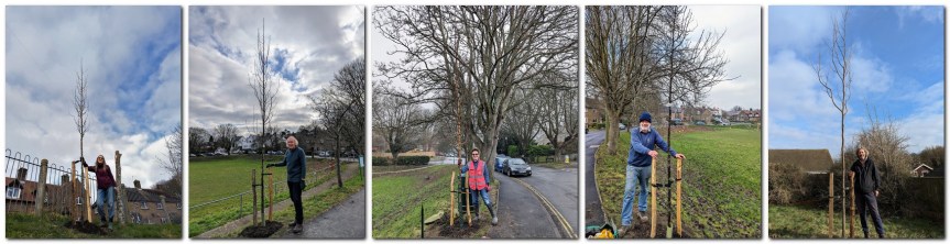 Friends of Lewes plant trees in Nevill and Glebe Close
