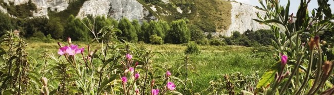 Lewes Mosaic project image