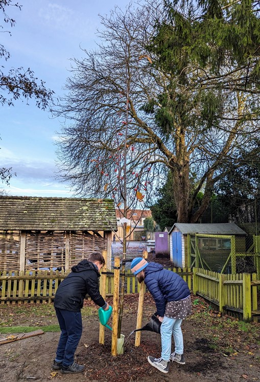 Pupils planting tree at Southover School