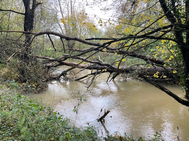 FoL Talk: Marcus Taylor: Lewes Heritage Open Days 2024: a preview of some of the venues and events this year – 20 August&nbsp;2024